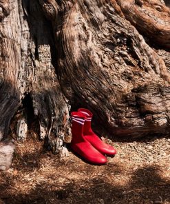 Pacestone.shop497547868b 3